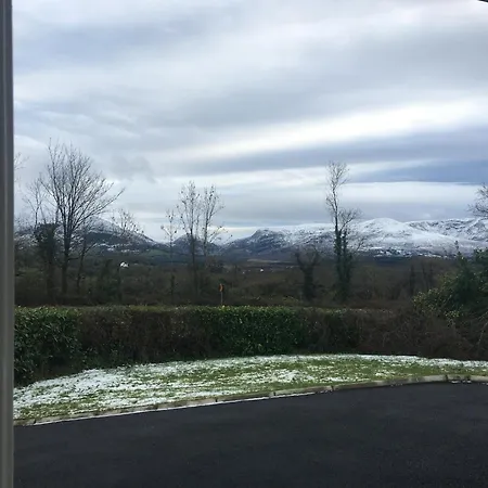 Laurel Cill Airne